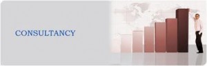 consultancies in India
